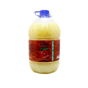 Shampoo Romã 5L